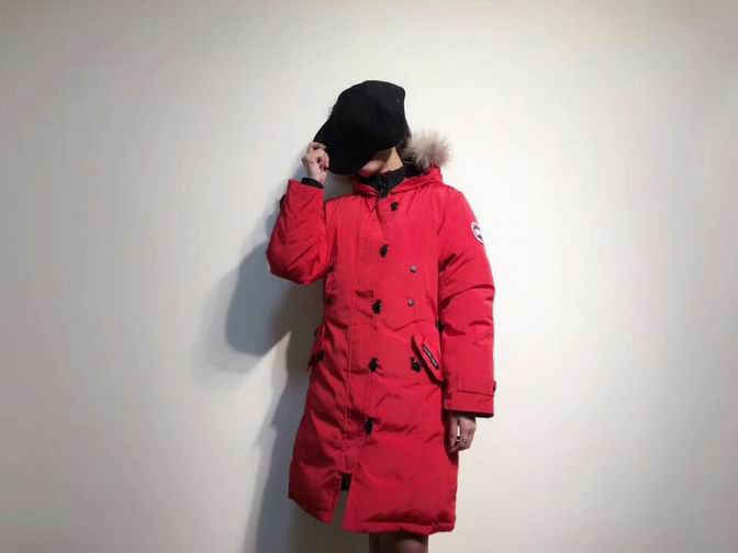 canada goose-017